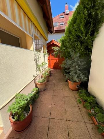 Sofi Appartment Hévíz 외부 사진
